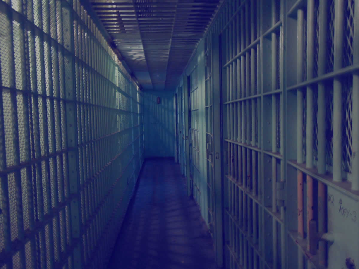 Inmate Search